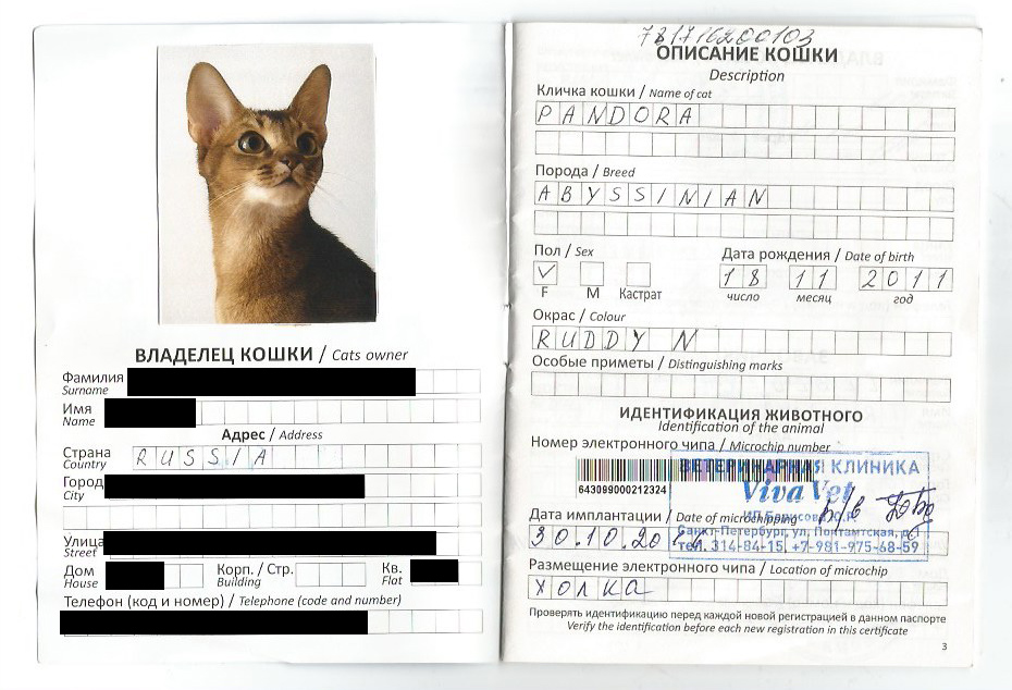 Ветеринарный Паспорт Для Кошек Купить